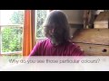 Synesthesia - Mixed senses. Part one Synesthesia - Mixed senses. Part one