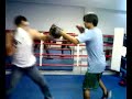 south paw boxing (jojitallanderije)
