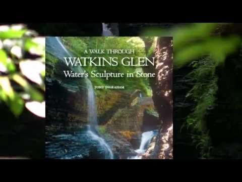 Watkins Glen State Park in 90 Seconds!