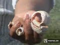 AKROTIRI ! ! ! AKROTIRI ! ! !