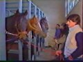 Artificial Insemination