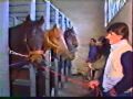 Artificial insemination