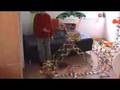videos de Hugo Knex Master