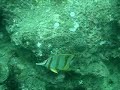 Cambodia Video