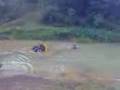 el combete sin riversa de bayamon