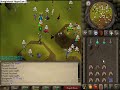 runescape pking wiserfinn pking elvemage kidsranqe