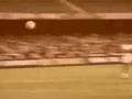 Homenagem Rogerio ceni