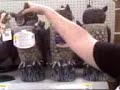 Drunk Owls Drunk Owls