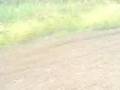 wheelies at bumpy in birstal - xr 250 + pit bikes