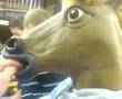 fun things to do with a horse's head