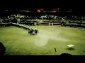 Shark's UEMB: Malagueña