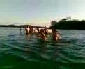 batata e renan ilha rosana  sp