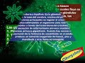 Biología  Módulo 20