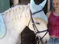 concour hunter 21 mai 2006 sur nikita