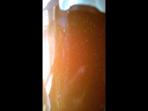 how to grow kefir grains