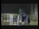 Horse jump competition 100 cm Horse jump competition 100 cm