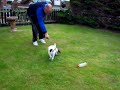 Max is 9 weeks old