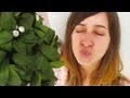 CHRISTMAS KISS!! (12.25.12 - Day 1335)