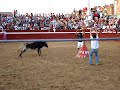 Fiestas de Potasas