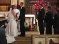 Wedding Wedding