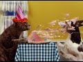 Animais em momentos Críticos 2 Animais em momentos Críticos 2