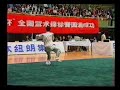 Taiji Sword ??? Chen Sitan