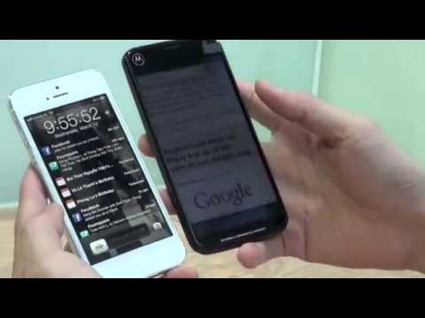 Immagine anteprima YouTube