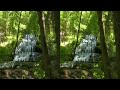 3D HD Relaxing Video - Magic Forest - yt3d Youtube 3D