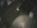Party @ Club Intrigue