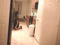 saxon gets jumped