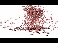 Blender physic Engine Blender physic Engine