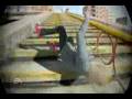 videos de EA SKATE 2 THE NEW SAN VANELONA