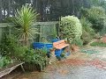 Wild storm