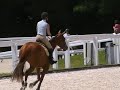 QUATSAISON DES CLOTINS (Fergar mail X Pluriel)