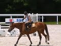QUATSAISON DES CLOTINS (Fergar mail X Pluriel)