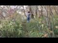 videos de This Compost, by Walt Whitman: Zombie Edition