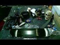 It's Alive! - a Substance Skateboards Animation