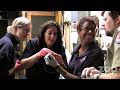 Bushbaby Babies! (Behind the Scenes)