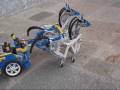videos de Cavalli e Carrozza.wmv