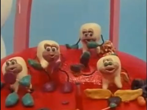 Collection - The Confusing World of Dental Hygiene