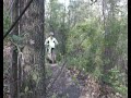 Motorcycle Jump next to a tree.