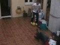oliver benji los magos del balón!!
