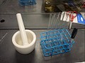 videos de Photosynthesis 0001
