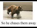 misheard lyrics   pearl jam   even flow