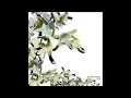 More hypnotizing rhythms from Villalobos with mineral samples and effects going off in the background. Sieso with its melancoly weird guitar and dreamy loops personifies Villalobos' art. CADENZA 08.10 Copyright Control. Worldwide distributed by Wordandsound. Mastered at Dubplates & Mastering Berlin.