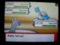 videos de Treeckogrl vs. Bulbagrl Match 2! (2/2)