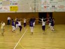 Violetes del Bosc a Segur de Calfell