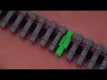 moded nerf vulcan amo belt.