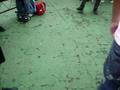 Intercollege  (PLAYCENTER)