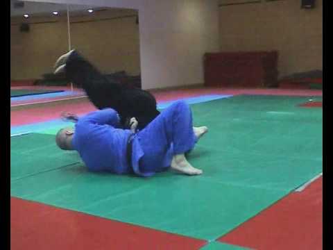See video